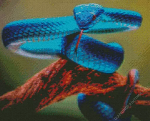 Blue Pit Viper Diamond Painting