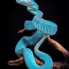 Blue Pit Viper Snake Diamond Painting