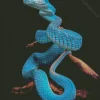 Blue Pit Viper Snake Diamond Painting