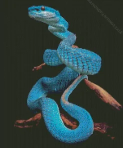 Blue Pit Viper Snake Diamond Painting
