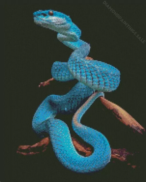 Blue Pit Viper Snake Diamond Painting