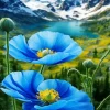 Blue Poppies Diamond Painting