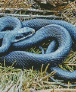 Blue Racer Snake Diamond Painting
