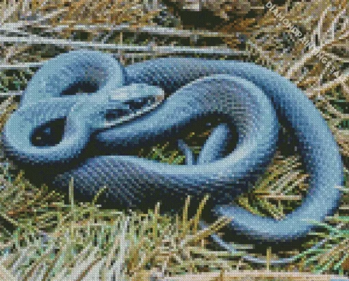 Blue Racer Snake Diamond Painting