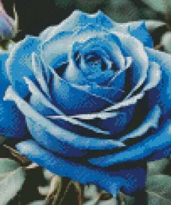 Blue Rose Diamond Painting