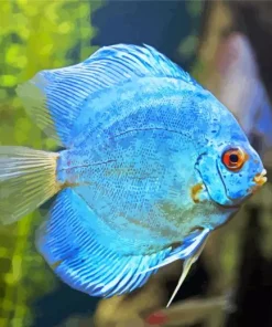 Blue Tropical Fish Diamond Painting
