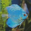 Blue Tropical Fish Diamond Painting
