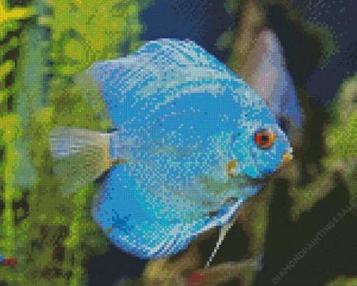 Blue Tropical Fish Diamond Painting