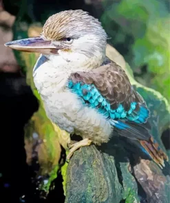 Blue Winged Kookaburra Diamond Painting