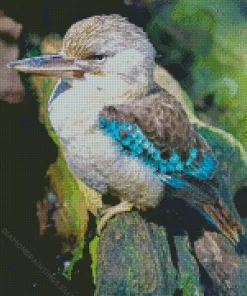 Blue Winged Kookaburra Diamond Painting