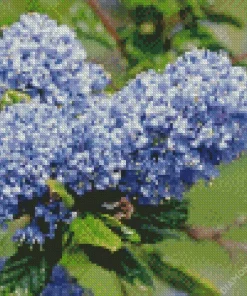 Blueblossom Plant Diamond Painting