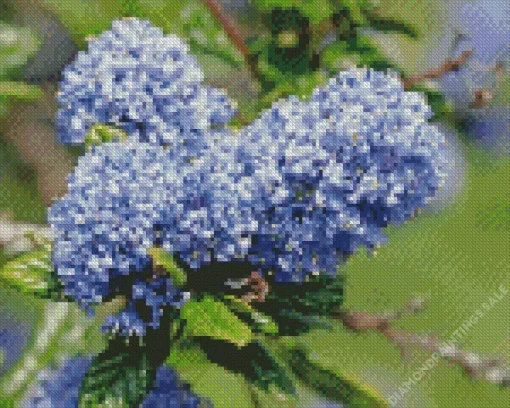 Blueblossom Plant Diamond Painting