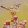 Cactus Wren Diamond Painting