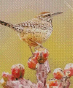 Cactus Wren Diamond Painting