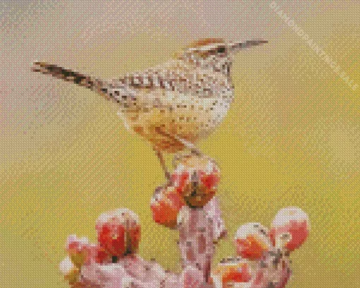 Cactus Wren Diamond Painting