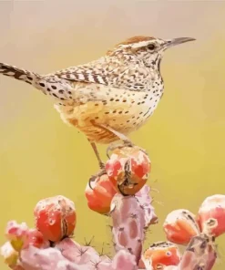Cactus Wren Diamond Painting