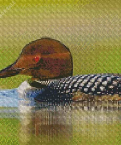 Common Loon Diamond Painting