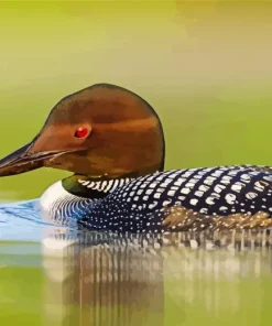 Common Loon Diamond Painting