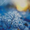 Cool Frost On The Fairy Snow Queen Art Diamond Painting