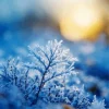 Cool Frost On The Fairy Snow Queen Art Diamond Painting