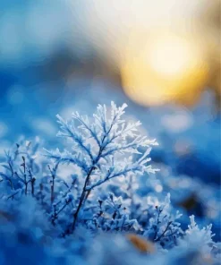 Cool Frost On The Fairy Snow Queen Art Diamond Painting