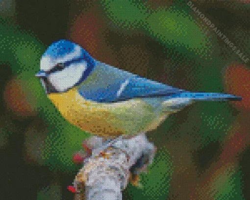Cool Eurasian Blue Bird Diamond Painting