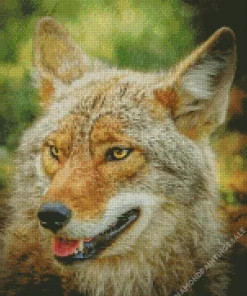 Coyote Face Diamond Painting