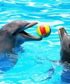 Dolphin Playing With Ball Diamond Painting