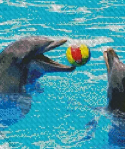 Dolphin Playing With Ball Diamond Painting