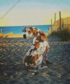 Fawnequin Great Dane Diamond Painting