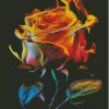 Flaming Rose Diamond Painting