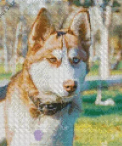 Golden Brown Husky Diamond Painting