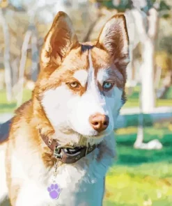 Golden Brown Husky Diamond Painting