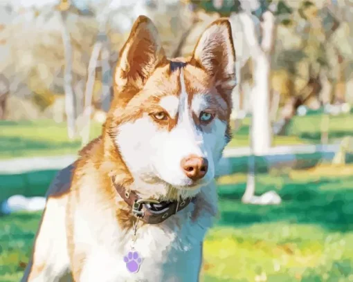 Golden Brown Husky Diamond Painting