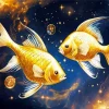 Golden Galaxy Fish Diamond Painting