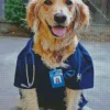 Golden Retriever Nurse Art Diamond Painting