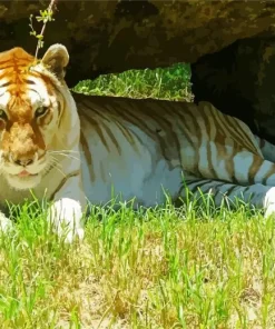 Golden Tiger Diamond Painting