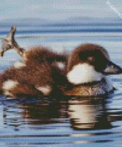 Goldeneye Duckling Bird Diamond Painting