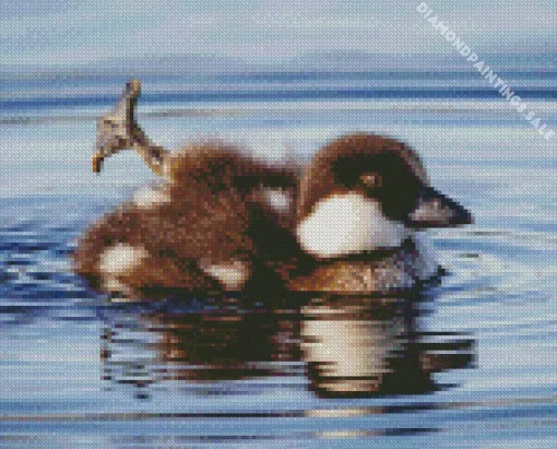 Goldeneye Duckling Bird Diamond Painting