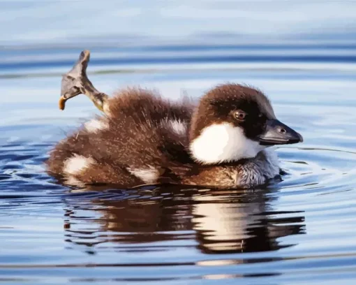 Goldeneye Duckling Bird Diamond Painting