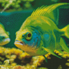 Green Fish Diamond Painting