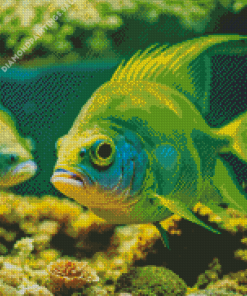 Green Fish Diamond Painting