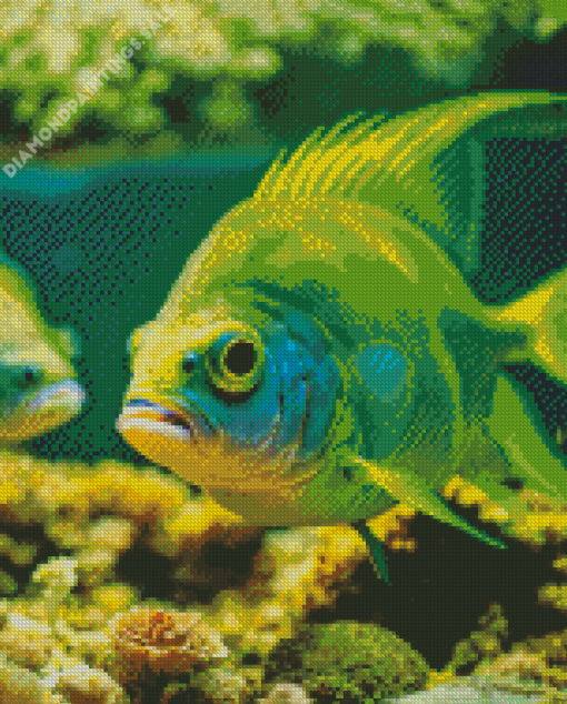 Green Fish Diamond Painting