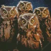 Group Of Night Owls Diamond Painting