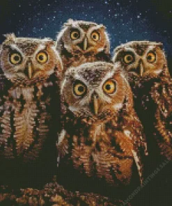 Group Of Night Owls Diamond Painting