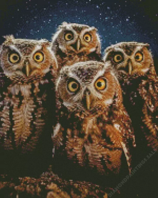 Group Of Night Owls Diamond Painting