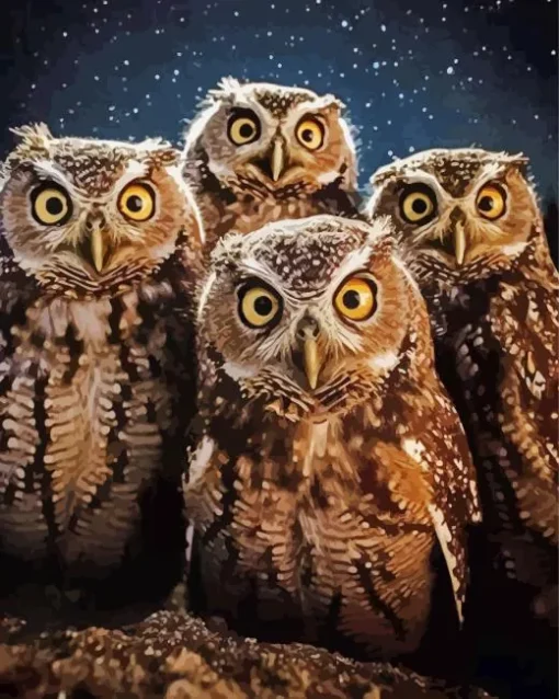 Group Of Night Owls Diamond Painting