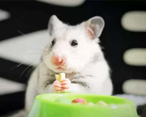 Hamster Eating Diamond Painting