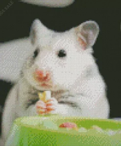 Hamster Eating Diamond Painting