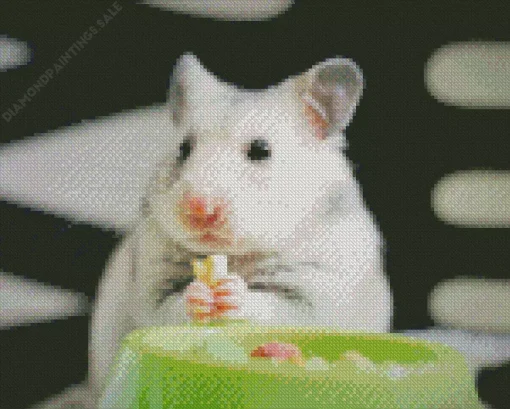 Hamster Eating Diamond Painting